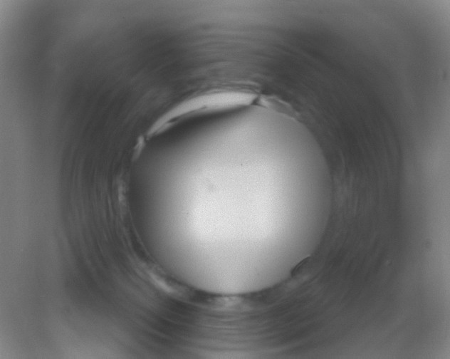 X0000081620087200702051244
