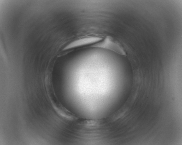 X0000081620088200702051244
