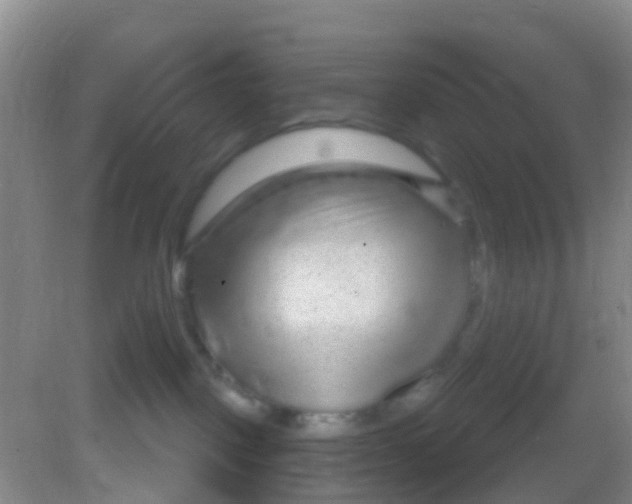X0000081620093200702051244