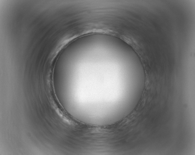 X0000081620098200702051243