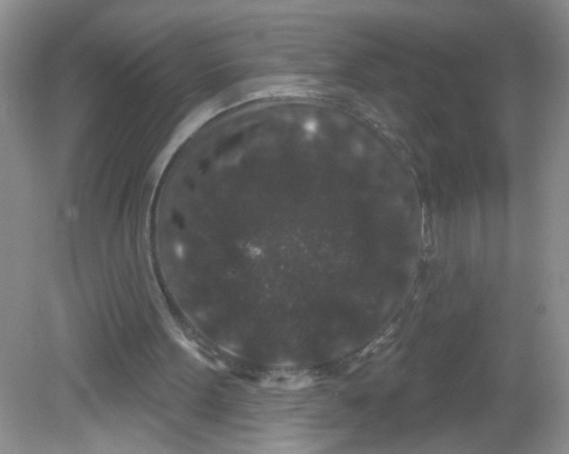 X0000081620099200702051243