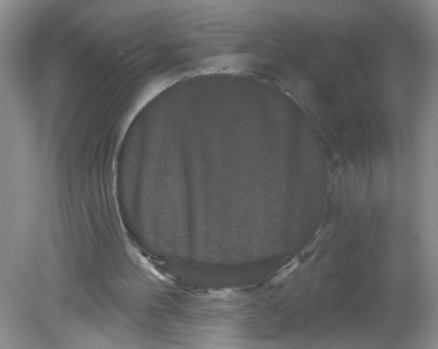 X0000081620100200702051243