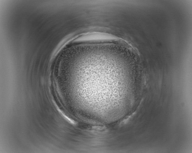 X0000081620101200702051243