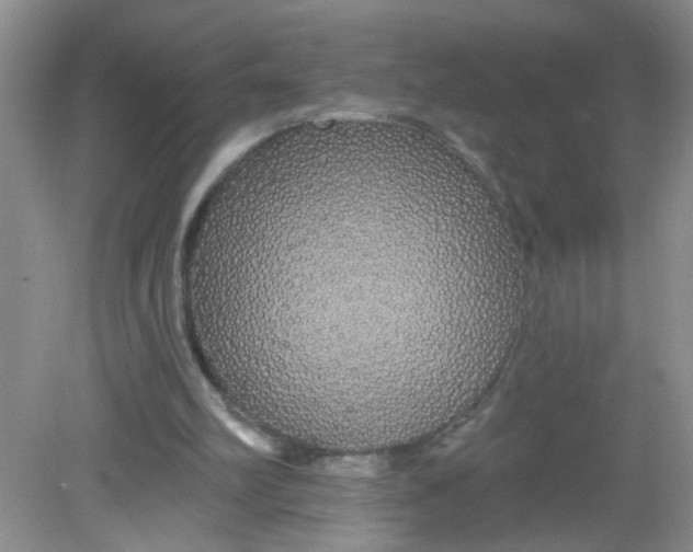 X0000081620102200702051243