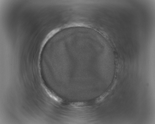 X0000081620104200702051243