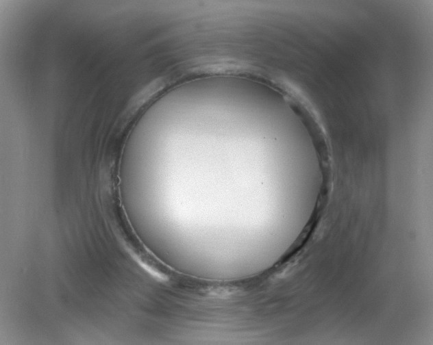 X0000081620105200702051243