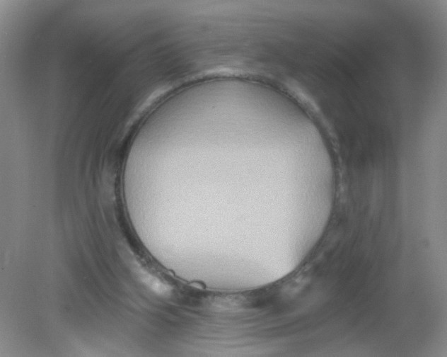 X0000081620106200702051243