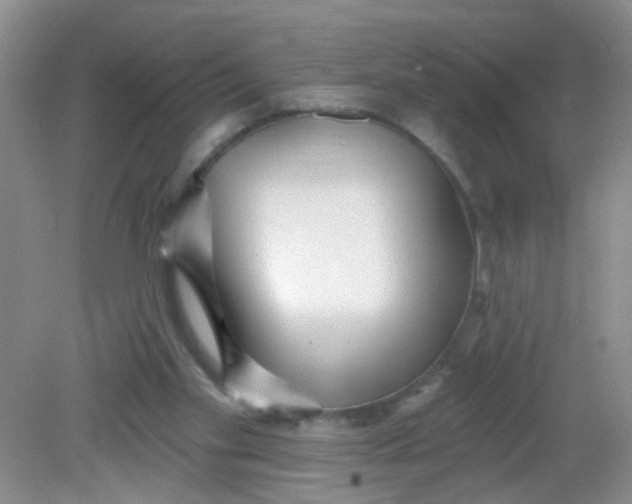 X0000081620109200702051243