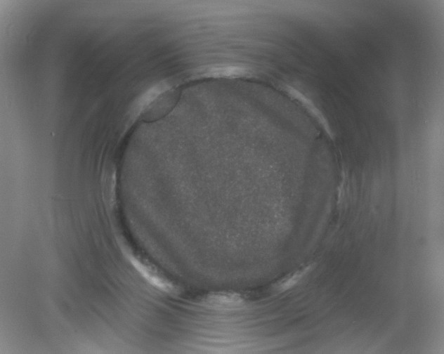 X0000081620110200702051243