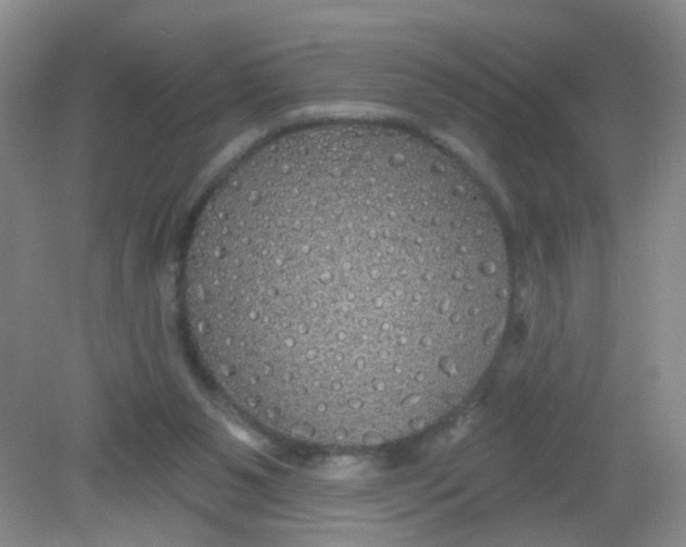 X0000081620111200702051243