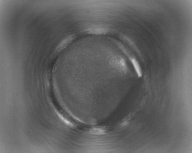 X0000081620114200702051243