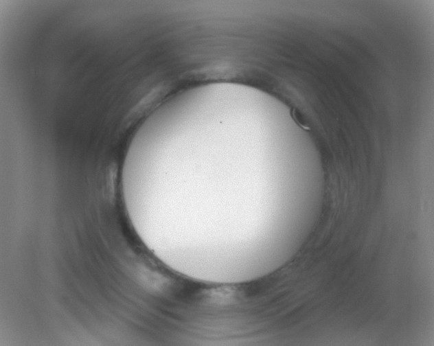 X0000081620118200702051243