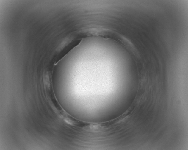 X0000081620121200702051243
