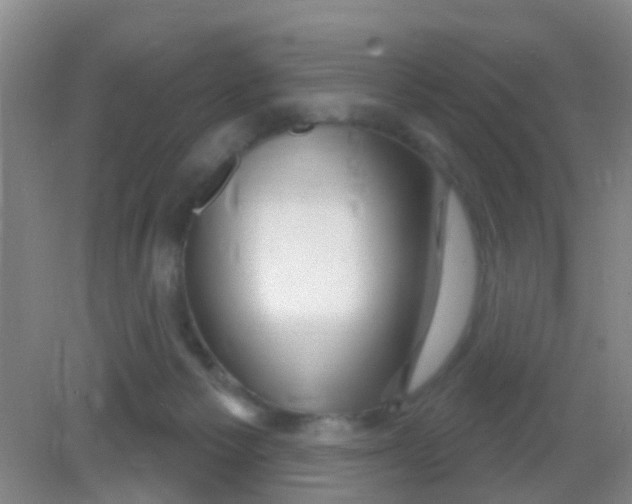 X0000081620125200702051243