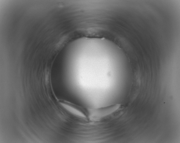 X0000081620129200702051242