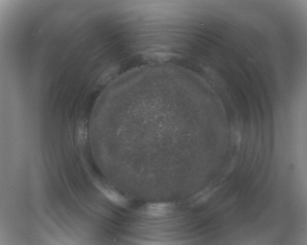X0000081620134200702051242