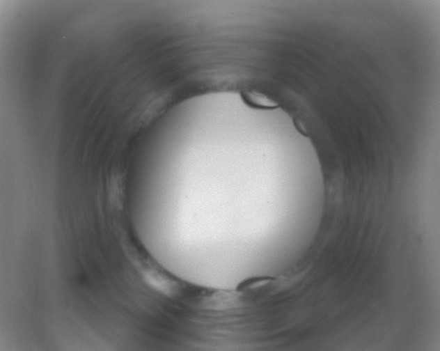 X0000081620138200702051242