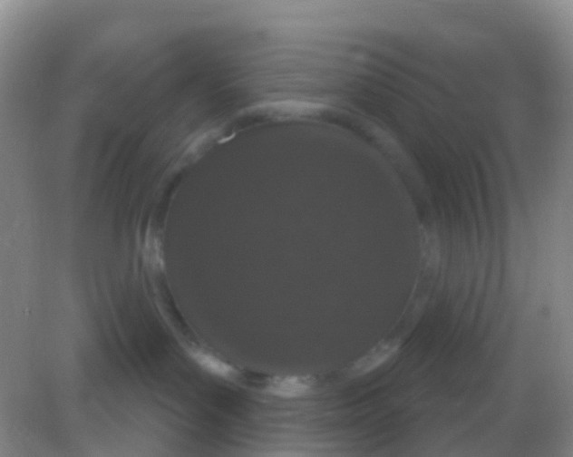 X0000081620143200702051242