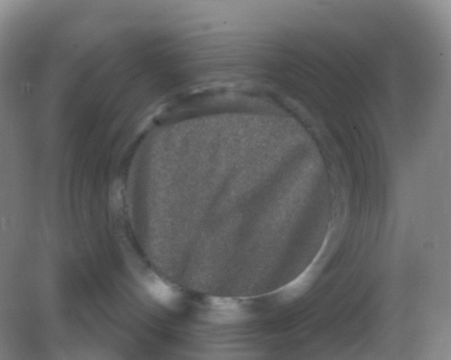 X0000081620144200702051242