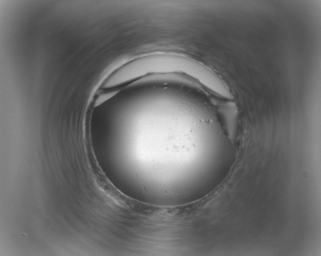 X0000081620148200702051241