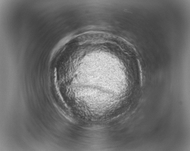 X0000081620149200702051241