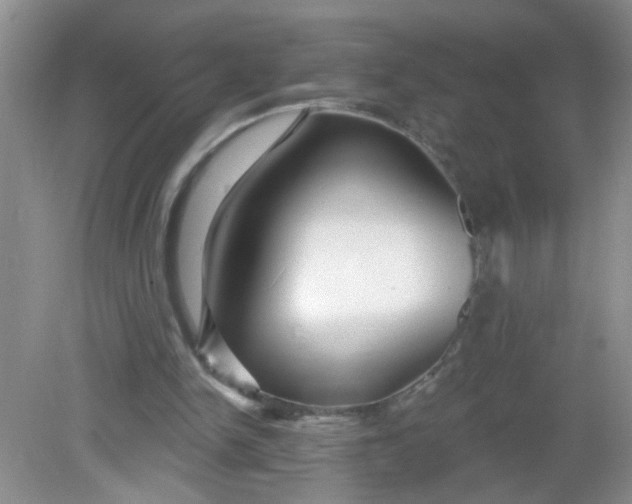 X0000081620150200702051241