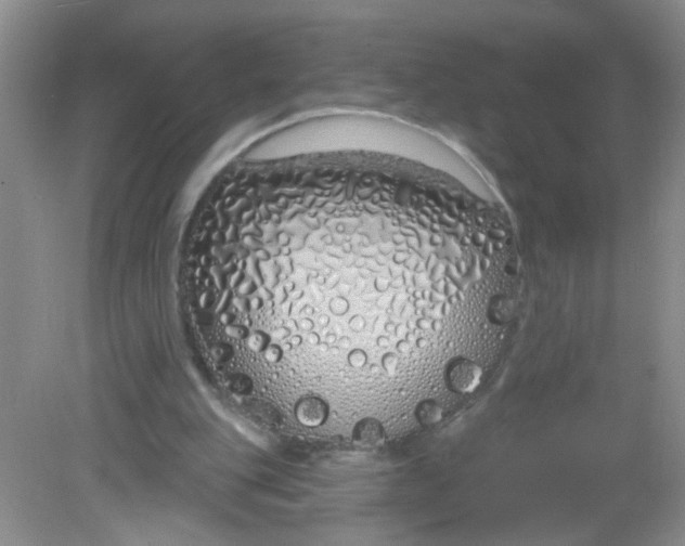 X0000081620151200702051242
