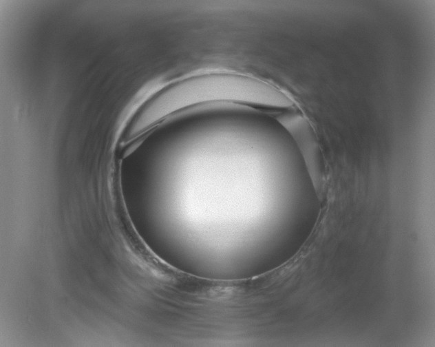 X0000081620152200702051242