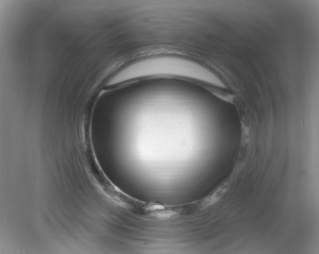 X0000081620158200702051242