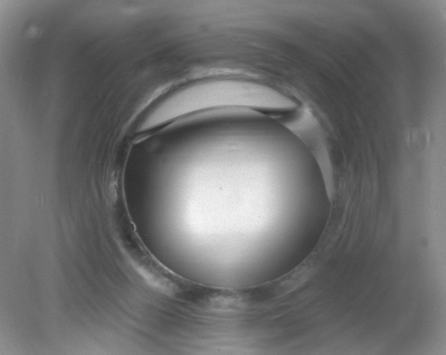 X0000081620160200702051242