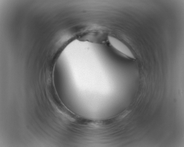 X0000081620164200702051242