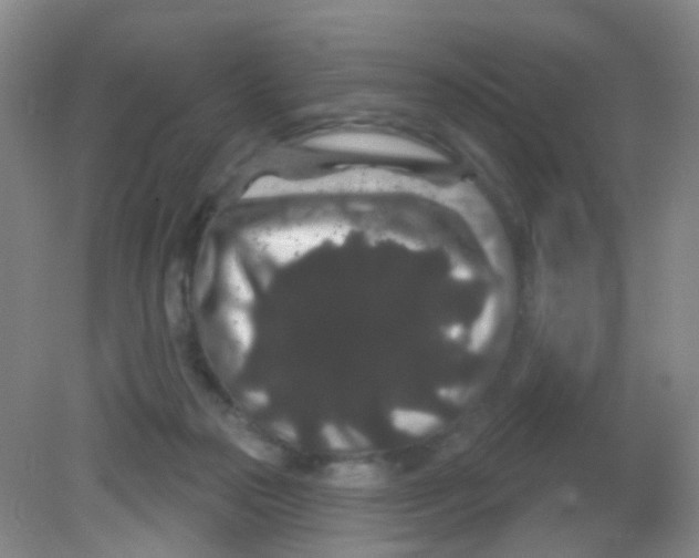 X0000081620169200702051242
