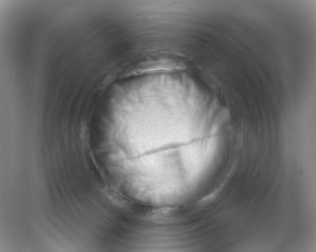X0000081620178200702051242