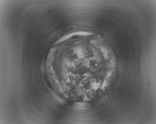 X0000081620181200702051242