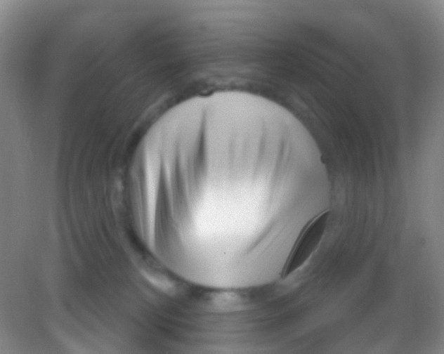 X0000081620183200702051242