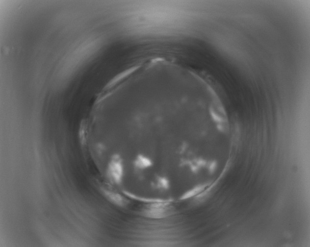 X0000081620191200702051242