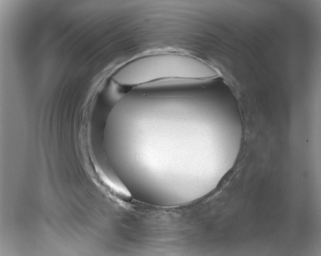 X0000081620193200702051241