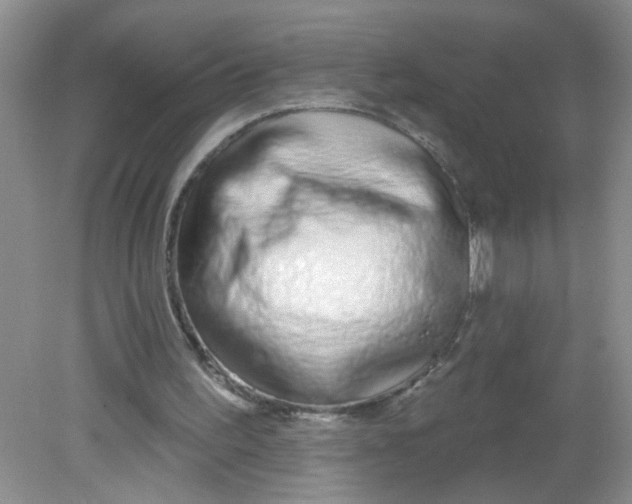 X0000081620195200702051241