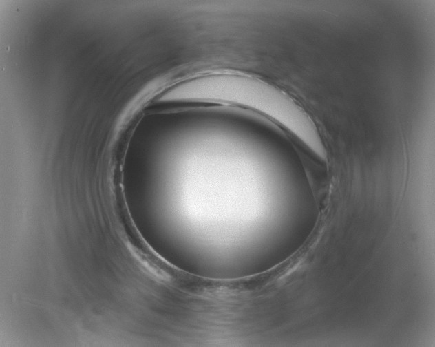 X0000081620197200702051241