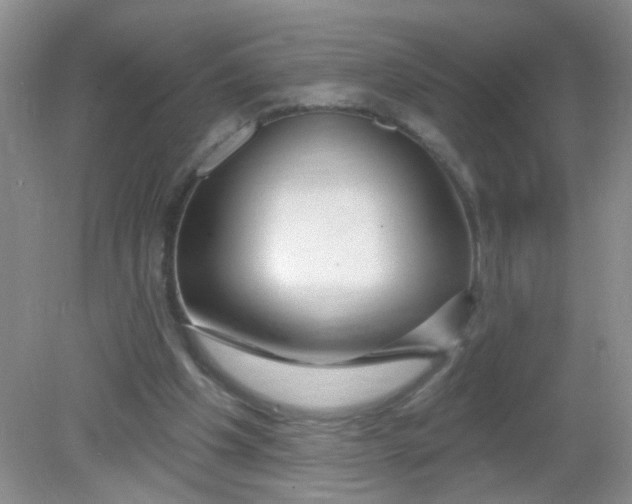 X0000081620201200702051241