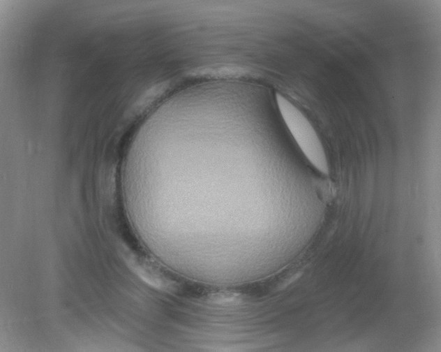 X0000081620206200702051241