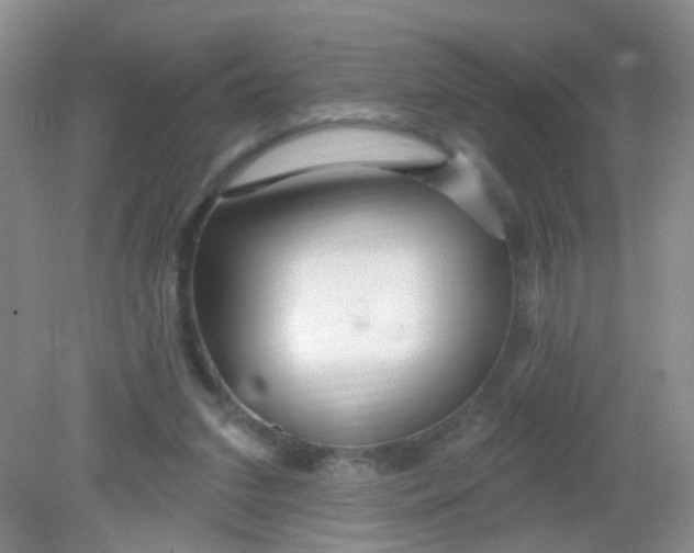 X0000081620207200702051241