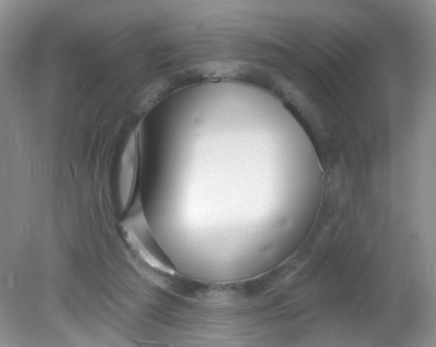 X0000081620209200702051241