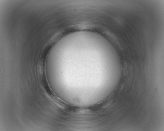 X0000081620210200702051241