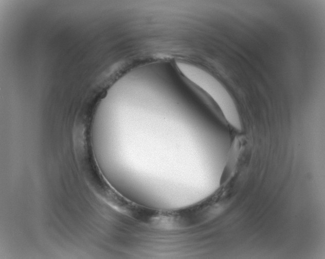 X0000081620211200702051241