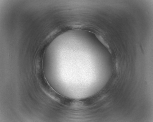 X0000081620215200702051241