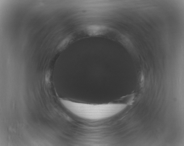 X0000081620219200702051241