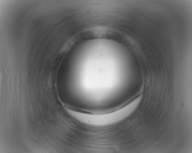 X0000081620221200702051241