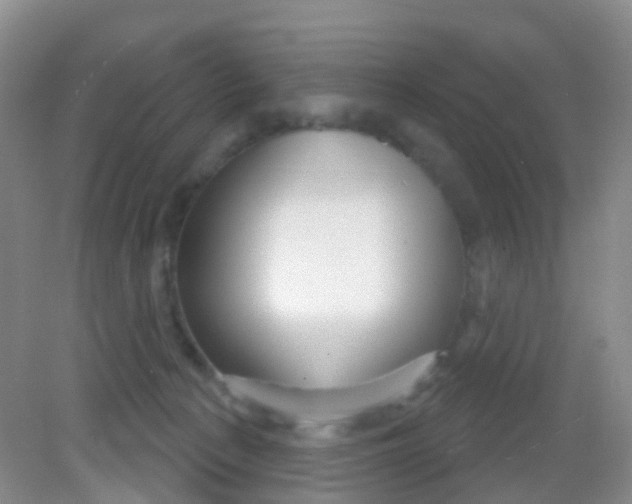 X0000081620225200702051241