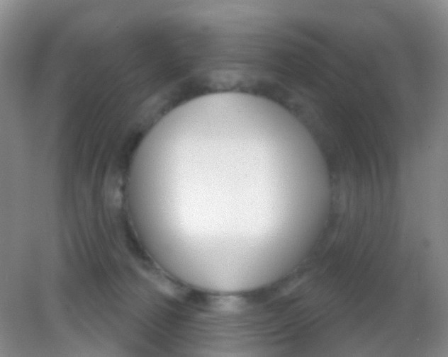X0000081620226200702051241